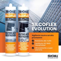 Silcoflex Evolution Silicone Rame ml 290