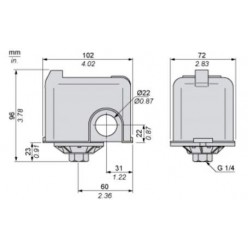 Pressostato SQUARE D FYG-22 per Autoclave