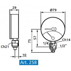 Termomanometro con valvola di ritegno - radiale