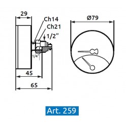 Termomanometro con valvola di ritegno - assiale