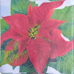 Tovaglioli per Decoupage -...