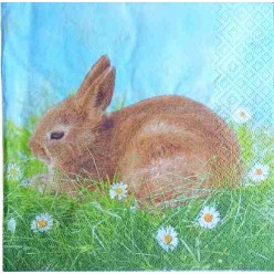 Tovaglioli per Decoupage -...