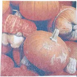 Tovaglioli per Decoupage -...