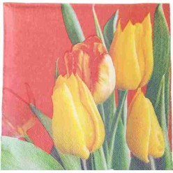 Tovaglioli per Decoupage -...