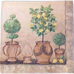 Tovaglioli per Decoupage -...