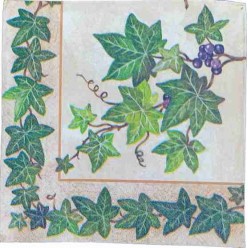 Tovaglioli per Decoupage -...