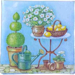 Tovaglioli per Decoupage -...