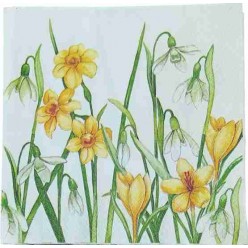 Tovaglioli per Decoupage -...